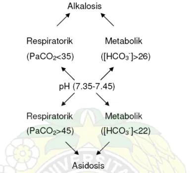 Gambar 6. Kategori dua kemungkinan asidosis atau alkalosis  Sumber : Malley WJ. Clinical blood gases assessment and intervention