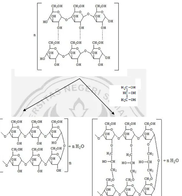 Gambar 2.3. Perkiraan reaksi tepung tapioka dan gliserol  (Yusmarlela, 2009) 