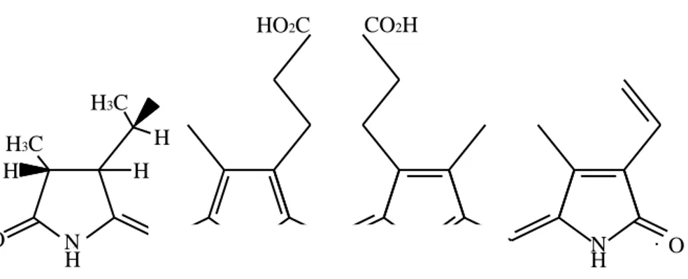 Gambar 3. Struktur kimia dari fitokrom( Taiz and Taiger  1991) 