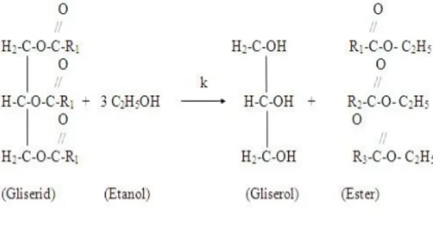 Gambar 1.  Mekanisme reaksi transesterifikasi minyak  nabati dengan etanol 