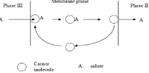 Gambar 7. Mekanisme perpindahan massa  pada membran cair  [16] . 