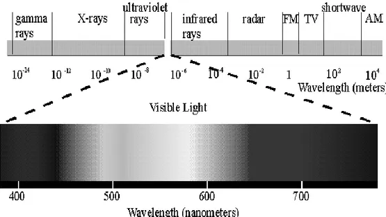 Gambar 1. Panjang gelombang cahaya tampak  Sumber: www.energyefficiencyasia.org  