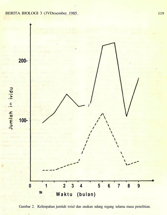 Gambar 2. Kelimpahan jumlah total dan anakan udang regang selama masa penelitian.