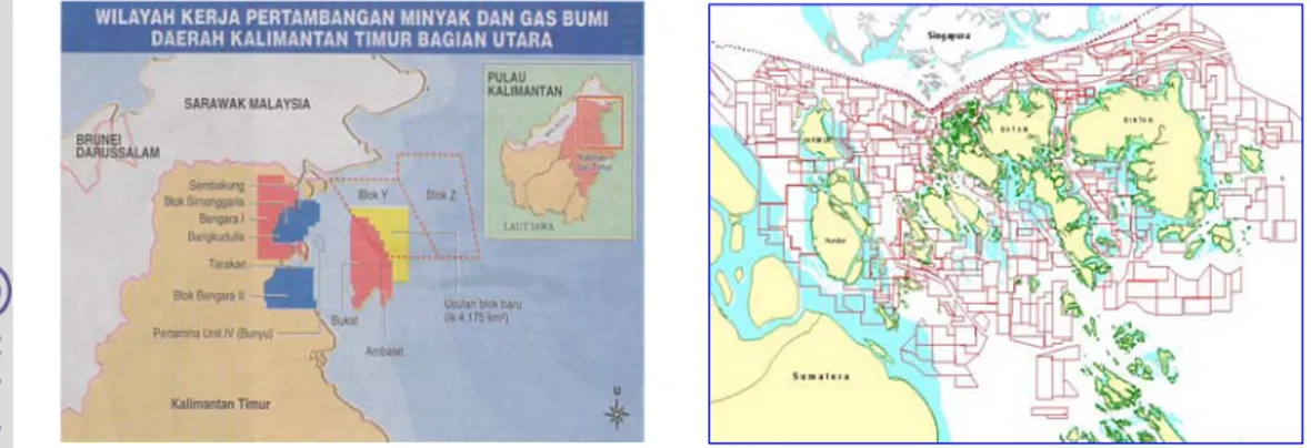 Gambar 3.   Persil-persil laut: ijin-ijin penambangan pasir laut di Riau (kanan) dan  blok-blok penambangan minyak dasar laut (blok Ambalat) di  wilayah perbatasan antara Kalimantan Timur dan Sarawak, Malaysia   (Rais, 2002a;  dan KOMPAS, 1 November 2004) 