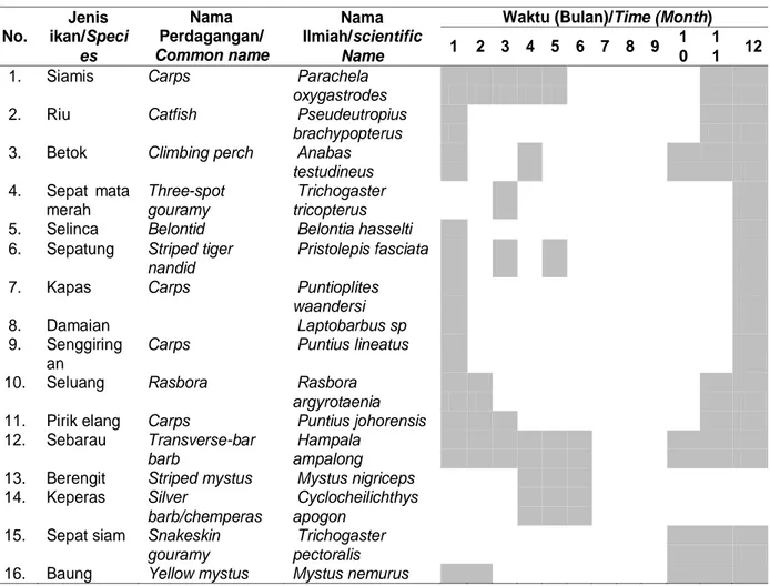 Tabel 1. Waktu pemijahan beberapa jenis ikan paparan banjiran Lubuk Lampam Table 1. Spawning time of several species in Lubuk Lampam