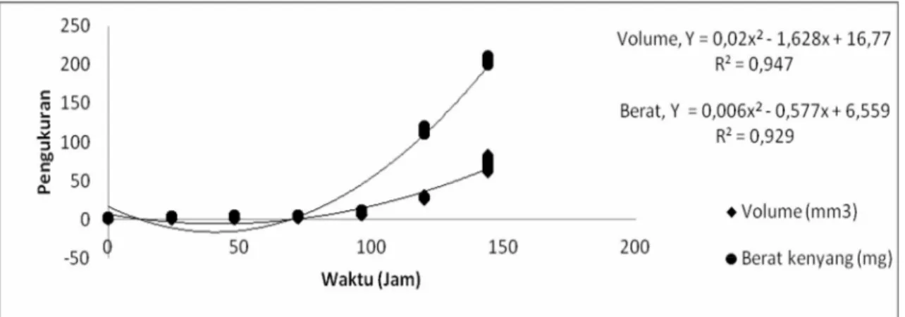 Gambar 2. Hubungan antara laju peningkatan ukuran volume dan berat tubuh dengan periode   pelekatan (Perlakuan I)