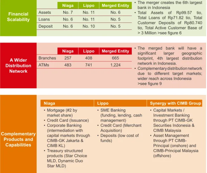 Figure 5: Rationale for Niaga-Lippo – in summary
