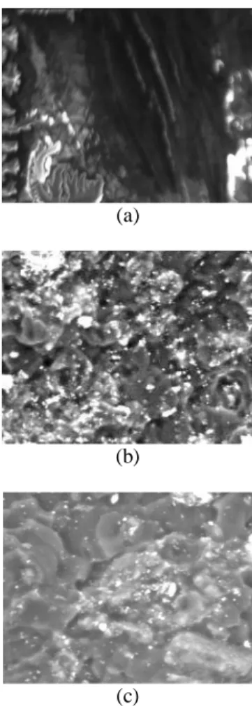 Gambar  6,  7,  dan  8  menunjukkan  pengaruh  komposisi  pengisi  bentonit  termodifikasi  pada  matriks epoksi terhadap penyerapan air komposit