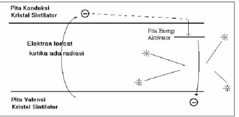 Gambar 2. Proses terjadinya percikan cahaya di dalam sintilator  I.2.3 Aktivitas Radioaktif 