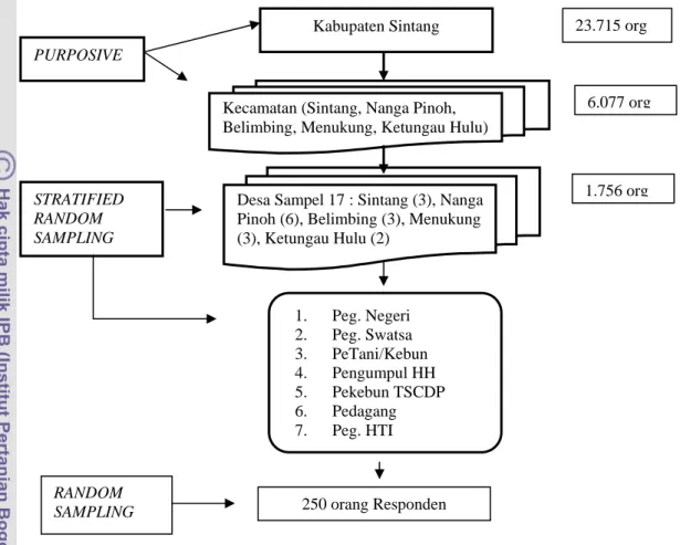 Gambar  5.  Kerangka Sampel (Sampling Frame) 