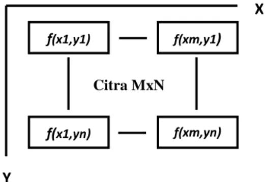 Gambar 1  Representasi citra MxN. 
