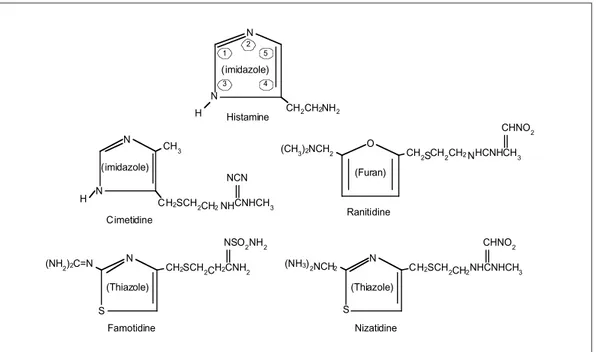 Gambar 2. Struktur kimia histamin dan 4 jenis ARH-2 13