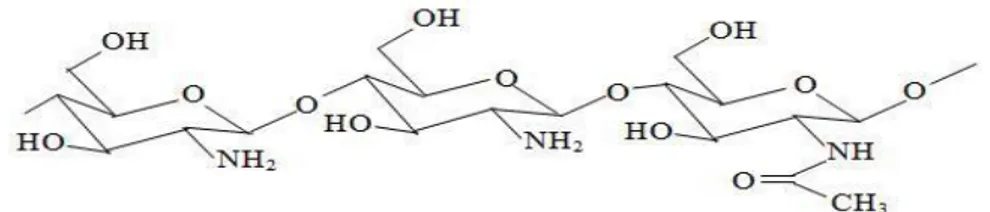 Gambar 2.7  Struktur kimia kitosan (Felt, et al., 1998)  2.6  Interaksi antara Alginat dengan Kitosan  