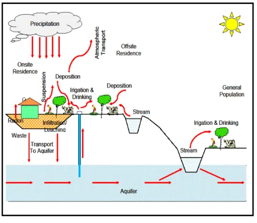 Gambar 1. Jalur transport lingkungan melalui media air [19] 