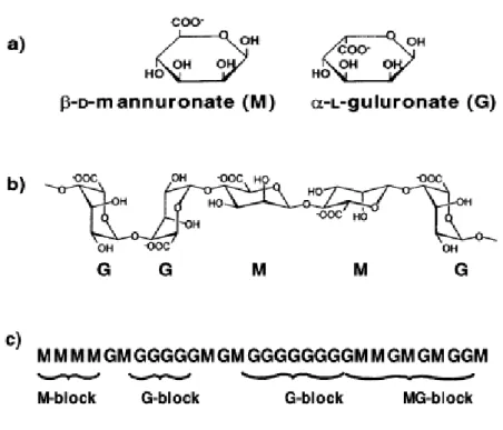 Gambar 2.3 Struktur kimia alginat   a. Monomer alginat   b. Konformasi alginat    c. Distribusi monomer 