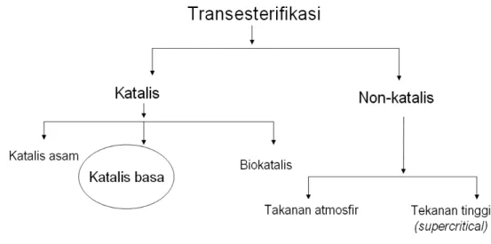 Gambar 2.  Opsi proses transesterifikasi (Joeliangsih, 2008; Mettelbach dan  Remschmidt, 2004) 