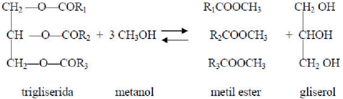 Gambar 2.2 Tiga Tahapan Reaksi Transesterifikasi