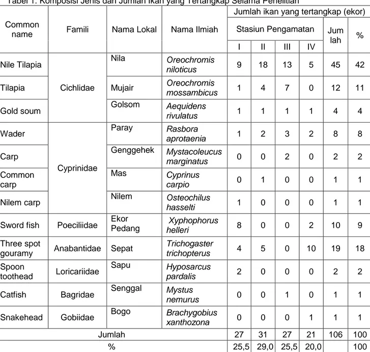 Tabel 1. Komposisi Jenis dan Jumlah Ikan yang Tertangkap Selama Penelitian  Common 