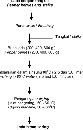Gambar 1.  Diagram alir pengolahan lada hitam         Figure 1.  The diagram of black pepper processing        Pemblansiran dalam air suhu 80o C ( 2,5 dan 5,0   menit)          Blanching in 80oC water ( 2,5 and 5,0 minutes)  