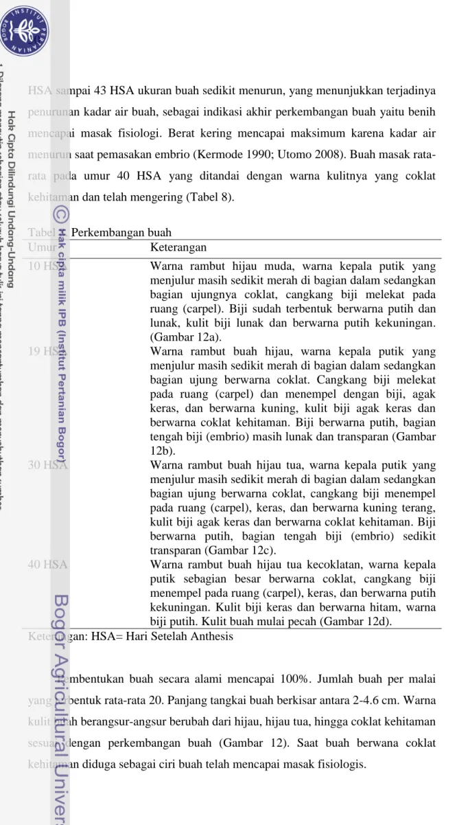Tabel 8. Perkembangan buah  