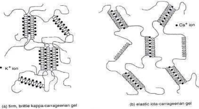 Gambar 1. Struktur kappa, iota dan lambda karagenan (Imeson, 2000) 