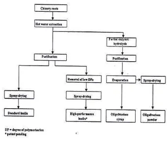 Gambar 3. Proses produksi inulin dan oligofruktosa (Franck, 2000) 