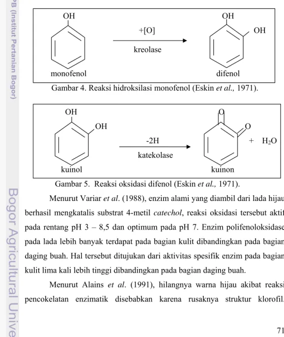 Gambar 4. Reaksi hidroksilasi monofenol (Eskin et al., 1971). 