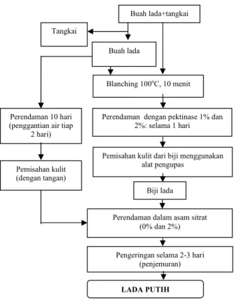 Gambar 2. Diagram alir pengolahan lada putih  Figure 2.   The white pepper processing diagram 