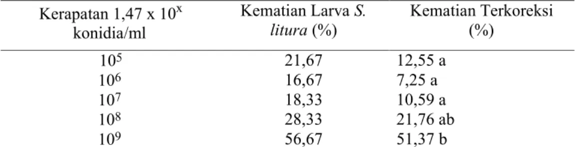 Tabel 1. Rerata persentase kematian larva S. litura akibat jamur B. bassiana pada  perlakuan kerapatan konidia yang berbeda 