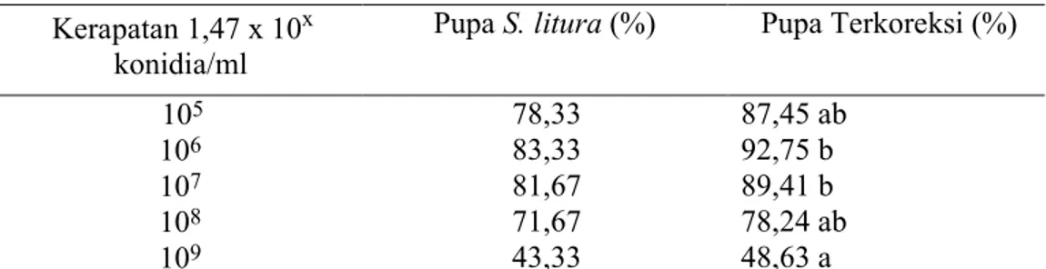 Tabel  2.  Rerata  Persentase  Larva  S.  litura  yang  Berhasil  menjadi  Pupa  akibat  Jamur B