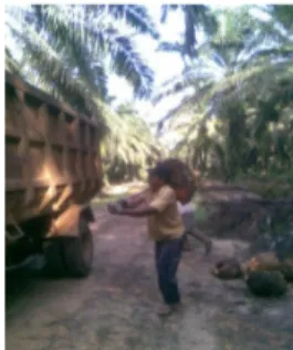 Gambar 1. Kondisi peralatan distribusi kelapa sawit yang sering menimbulkan  kecelakaan kerja 