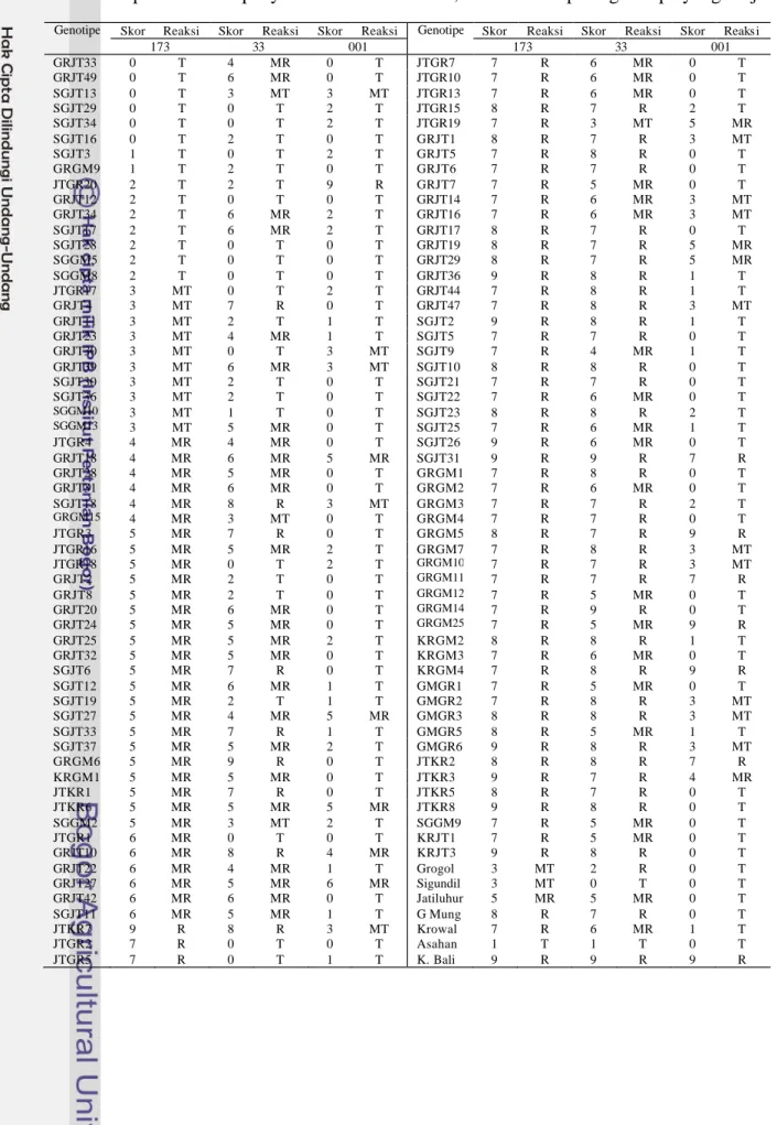 Tabel Lampiran 4 Skala penyakit blas daun ras 173, 033 dan 001 pada genotipe yang diuji 