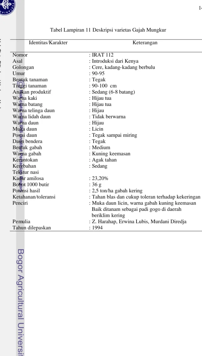 Tabel Lampiran 11 Deskripsi varietas Gajah Mungkur  