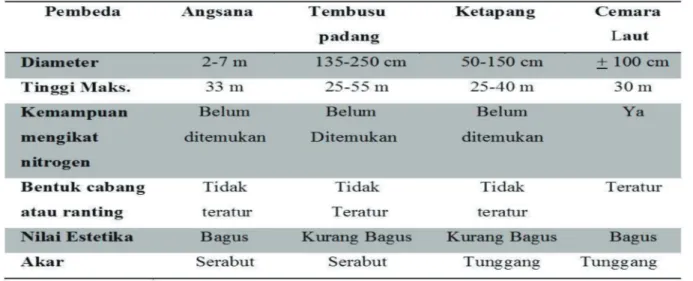 Tabel 2 Perbandingan Angsana, Tembusu Padang, Ketapang, dan Cemara Laut 14