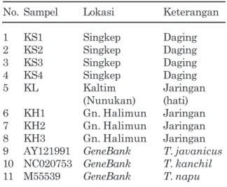Tabel 1. Sampel Tragulus sp.,  yang digunakan pada penelitian