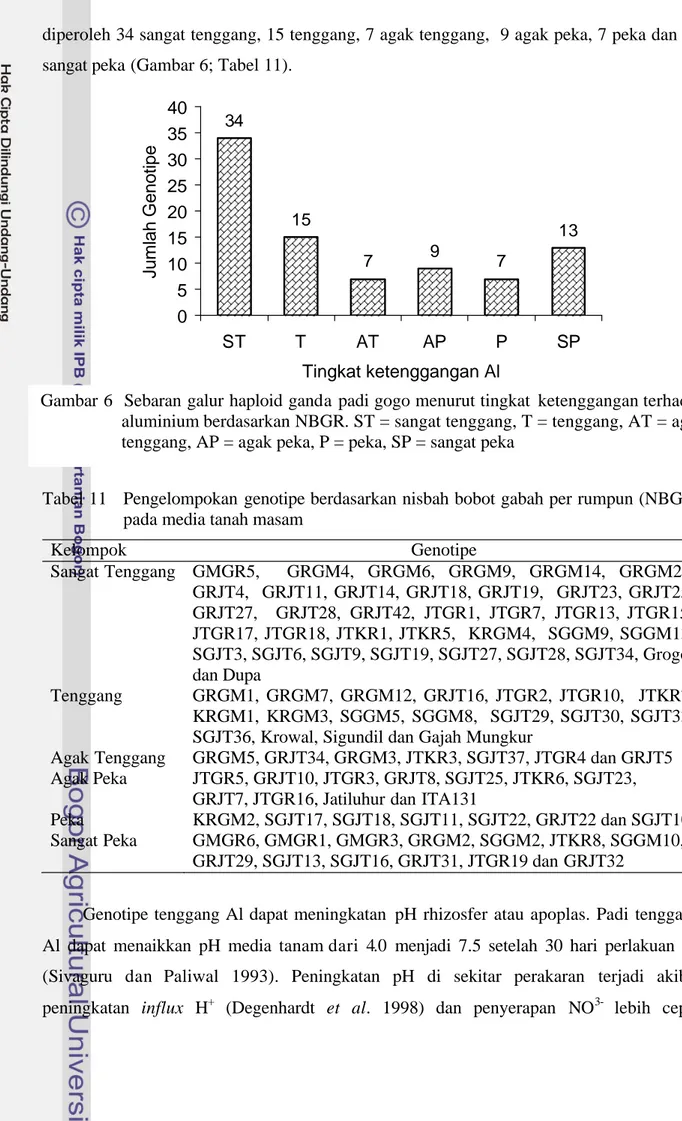 Tabel 11   Pengelompokan genotipe berdasarkan nisbah bobot gabah per rumpun (NBGR)  pada media tanah masam   