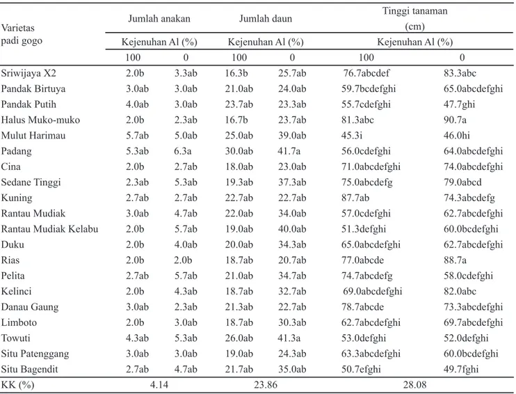 Tabel 2 menunjukkan bahwa beberapa varietas padi  gogo memperlihatkan peningkatan BKA  yang positif  walaupun pada kondisi tercekam Al, varietas tersebut antara  lain: Pandak Putih (43%), Mulut Harimau (53%), Kuning  (22%), Rantau Mudiak Kelabu (27%), dan 