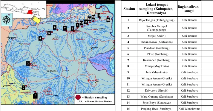 Gambar 1. Peta dan lokasi tempat pengambilan sampel kerang air tawar Corbiculidae di  sungai Brantas Jawa Timur