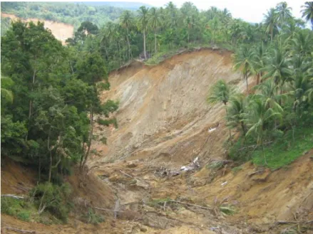 Gambar 1.7: Tanah longsor masif yang disebabkan oleh kejadian gempa bumi Padang tahun 2009, di Padang Pariaman  yang menyebabkan 100 orang terkubur dalam peristiwa longsor ini (Rosyidi et al