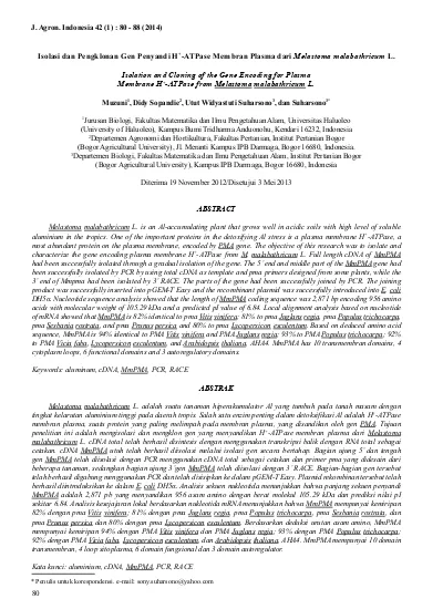 Isolation and Cloning of the Gene Encoding for Plasma Membrane H ...