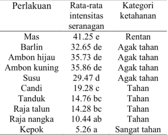 Tabel  2.  Rata-rata  Intensitas  Serangan  Penyakit  Sigatoka  dan  Kategori  Ketahanan