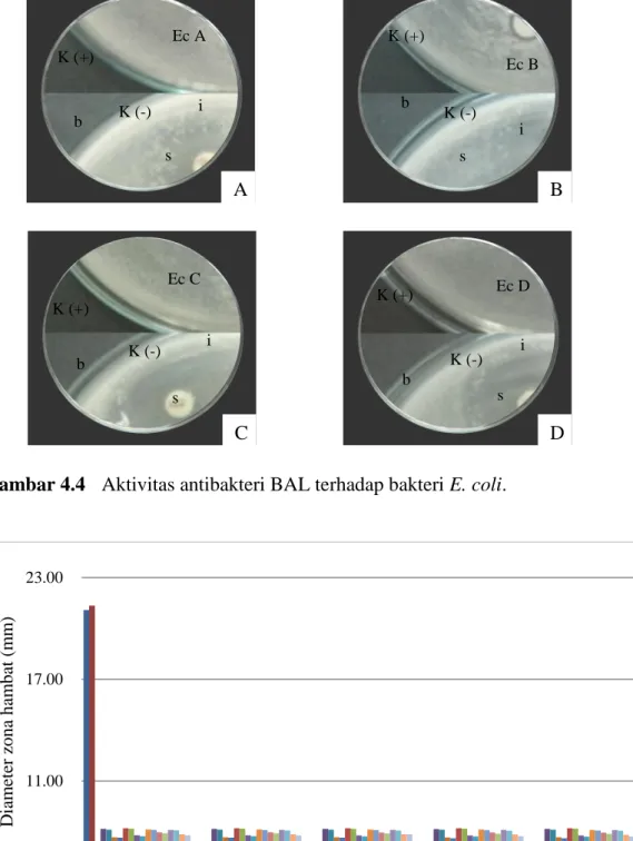Gambar 4.5   Pengaruh suhu 4 o C terhadap aktivitas antibakteri BAL 