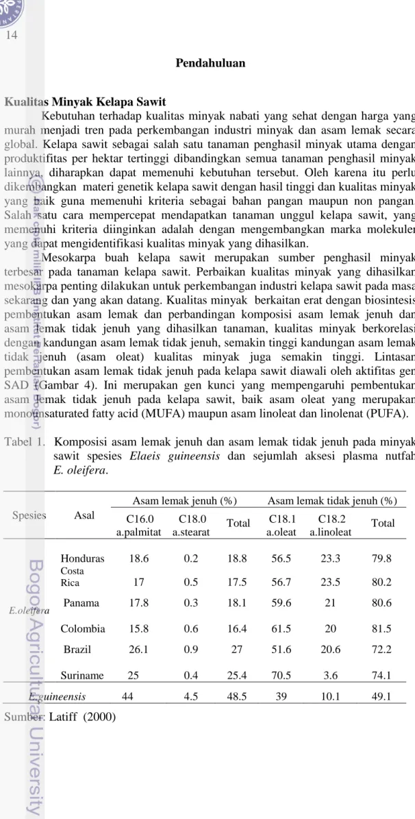Tabel 1.  Komposisi asam lemak jenuh dan asam lemak tidak  jenuh pada minyak  sawit spesies Elaeis guineensis  dan sejumlah aksesi  plasma nutfah           E