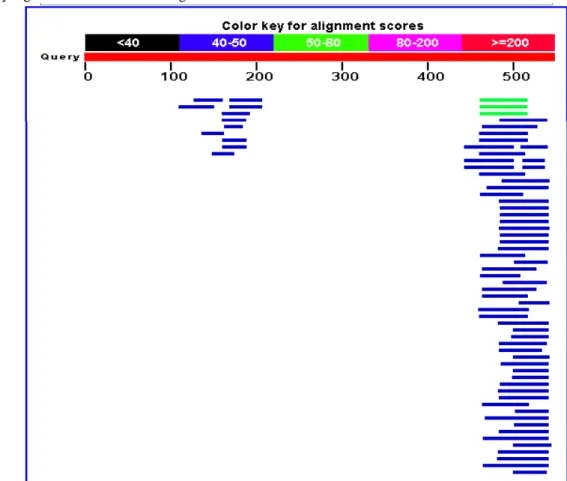 Gambar  11    Analisis BLAST hasil sequencing  fragmen DNA buah abnormal    dengan primer OPB 9