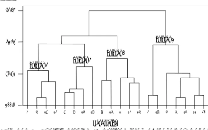 Gambar 5. Analisis kluster 20 kultivar talas berdasarkan kadar  pati, amilosa dan serat kasar.1
