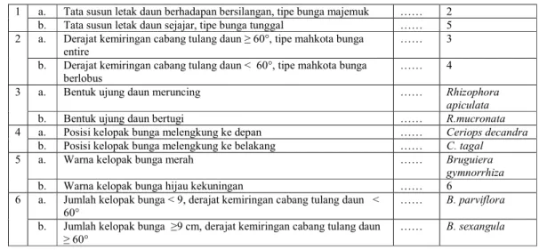 Tabel  3.  Kunci  Identifikasi  Jenis  Rhizoporaceae    Berdasarkan  Karakter  Struktur  Luar  Polen