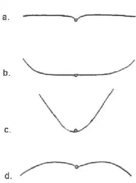 Gambar 3. Lipatan daun, (a) rata, (b) incurve bentuk huruf U,   (c) incurve bentuk huruf V, (d) recurve 