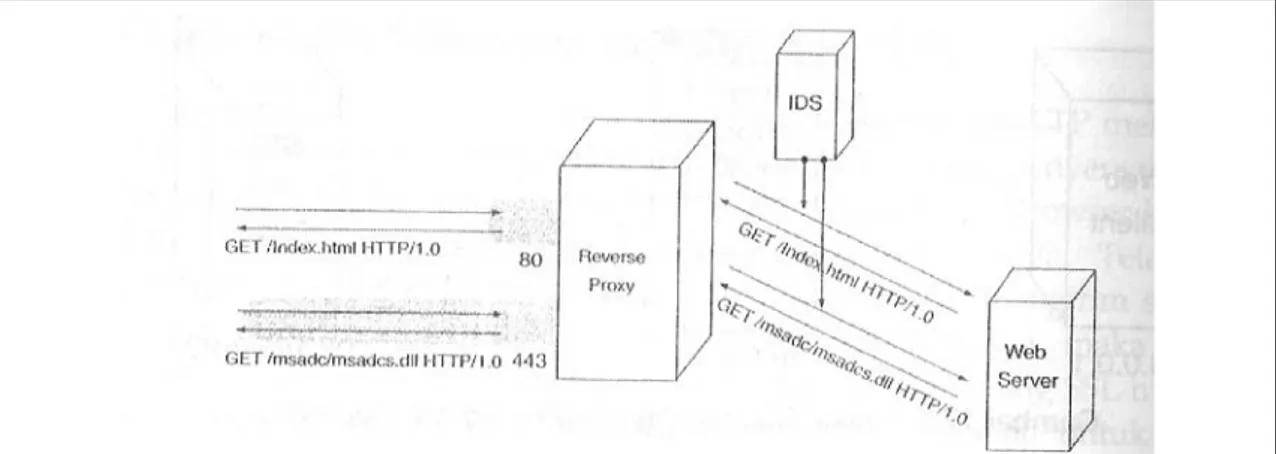 Gambar 13 Reverse HTTP Proxy dan IDS 
