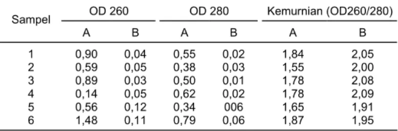 Tabel 1.  Hasil pengujian kemurnian DNA ubi jalar dengan spektrofotometer  OD 260  OD 280  Kemurnian (OD260/280)  Sampel  A  B  A  B  A  B  1  0,90 0,04 0,55 0,02  1,84  2,05  2  0,59 0,05 0,38 0,03  1,55  2,00  3  0,89 0,03 0,50 0,01  1,78  2,08  4  0,14 