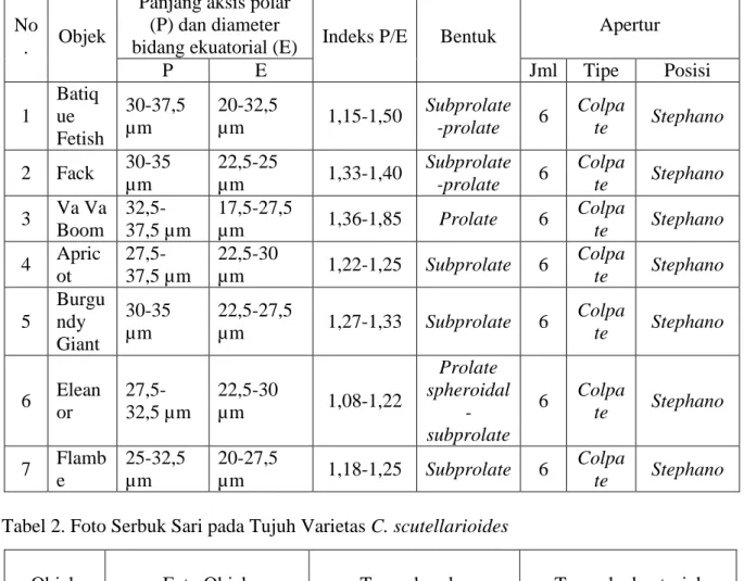 Tabel 1. Hasil Pengukuran Serbuk Sari pada Tujuh Varietas Coleus scutellarioides  No